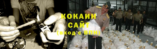 гашик Балахна