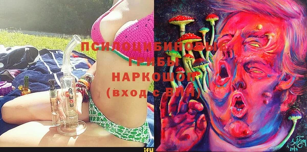 гашик Балахна