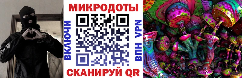 наркота  Берёзовский  Галлюциногенные грибы Psilocybine cubensis 